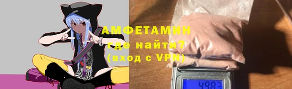 индика Аркадак