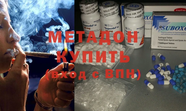 индика Аркадак