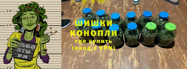 индика Аркадак