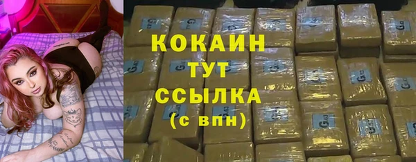 индика Аркадак